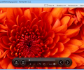 Honeyview Image Viewer Скриншот 1