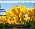 Honeyview Image Viewer Скриншот 4
