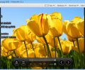 Honeyview Image Viewer Screenshot 4