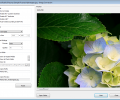 Honeyview Image Viewer Скриншот 5