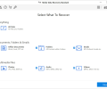 Stellar Data Recovery Standard Screenshot 0