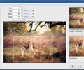 Hornil Photo Resizer Скриншот 1
