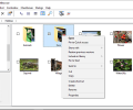 ShellBrowser Delphi Components Скриншот 0