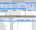 Q-Eye QVD/QVX files Editor (32 Bit) Скриншот 0