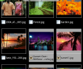 Dual File Manager XT Скриншот 0