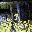 4 Seasons 1 4 Seasons 1 32x32 pixels icon