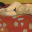 Art of Matisse 1.0 Art of Matisse 1.0 32x32 pixels icon