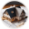 Ashampoo 3D CAD Architecture 12 12.0.0 Ashampoo 3D CAD Architecture 12 12.0.0 32x32 pixels icon
