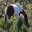 Beautiful Horse Screensavers 1.0 Beautiful Horse Screensavers 1.0 32x32 pixels icon