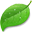Coda 2.5.16 Coda 2.5.16 32x32 pixels icon