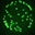 FWsim Fireworks Simulator 2.3 FWsim Fireworks Simulator 2.3 32x32 pixels icon