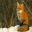 Fox Screensavers 1.0 Fox Screensavers 1.0 32x32 pixels icon