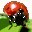 Inpaint Tool 1.0 Inpaint Tool 1.0 32x32 pixels icon