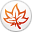 MindMaple Lite 1.31 MindMaple Lite 1.31 32x32 pixels icon