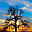 Phota (64-bit) 4.3 Phota (64-bit) 4.3 32x32 pixels icon