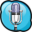 RSkype Recorder 6.16 32x32 pixels icon