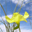 Scenes of Nature 2.2.1 Scenes of Nature 2.2.1 32x32 pixels icon