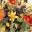 Sketch Effect 1.00 Sketch Effect 1.00 32x32 pixels icon