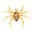 Spider Web 1.4.2 Spider Web 1.4.2 32x32 pixels icon
