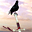 The Sword 3D Screensaver 1.0.4 The Sword 3D Screensaver 1.0.4 32x32 pixels icon