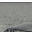 Wild Alaska 1.0 Wild Alaska 1.0 32x32 pixels icon