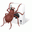 Free Spider 2009 - Solitaire Collection 2.0 Free Spider 2009 - Solitaire Collection 2.0 32x32 pixels icon